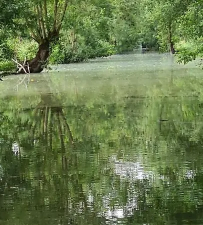 L'enclos Bleu, - Marais Poitevin Avec Piscine Chauffee