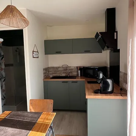 L'enclos Bleu, - Marais Poitevin Avec Piscine Chauffee Appartement *