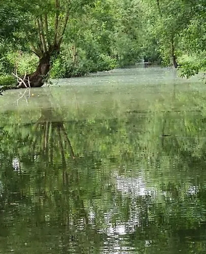 L'enclos Bleu, - Marais Poitevin Avec Piscine Chauffee