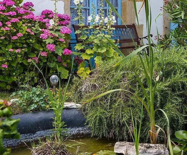 L'enclos Bleu, - Marais Poitevin Avec Piscine Chauffee Daire *