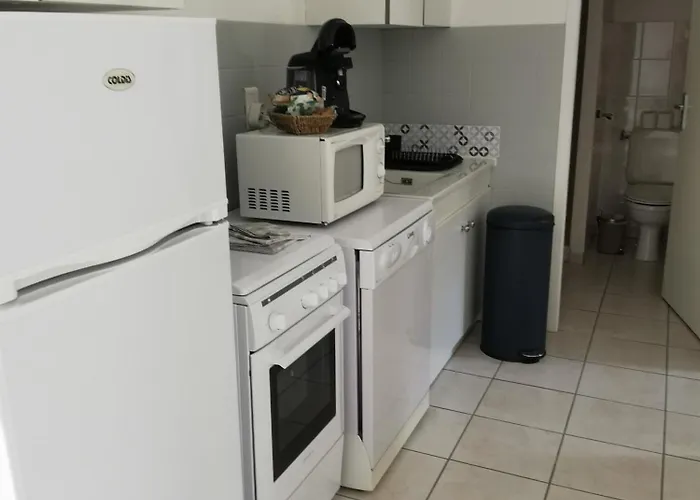 Daire L'enclos Bleu, - Marais Poitevin Avec Piscine Chauffee *