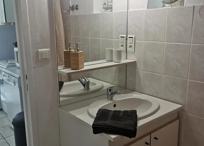 Daire L'enclos Bleu, - Marais Poitevin Avec Piscine Chauffee