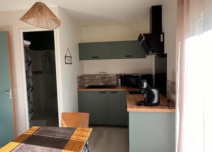 L'enclos Bleu, - Marais Poitevin Avec Piscine Chauffee Daire *