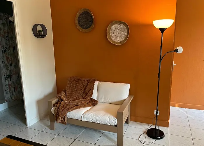 Daire L'enclos Bleu, - Marais Poitevin Avec Piscine Chauffee