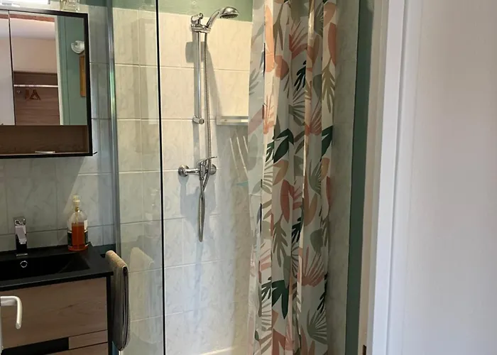 L'enclos Bleu, - Marais Poitevin Avec Piscine Chauffee Daire