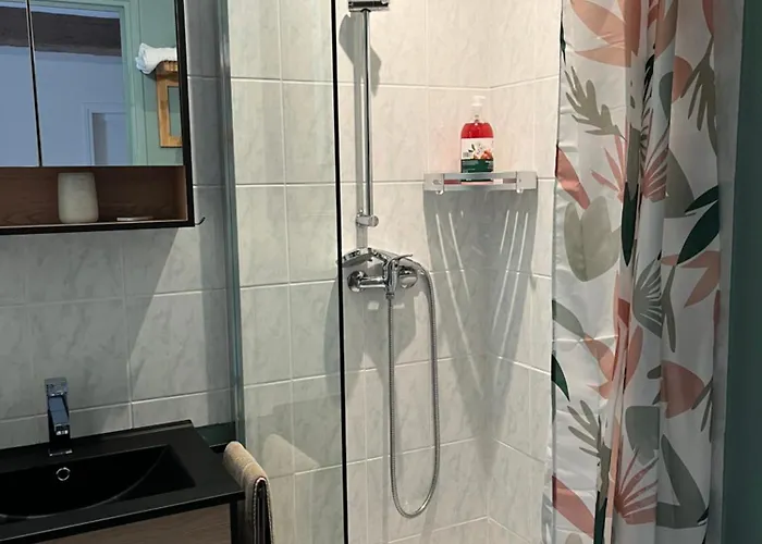 L'enclos Bleu, - Marais Poitevin Avec Piscine Chauffee Daire Chaille-Les-Marais